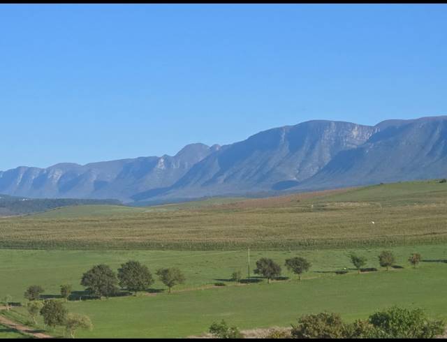 539HA FARM FOR SALE IN RIVERSDALE RURAL